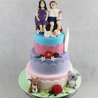 Baby Shower Bespoke Cake